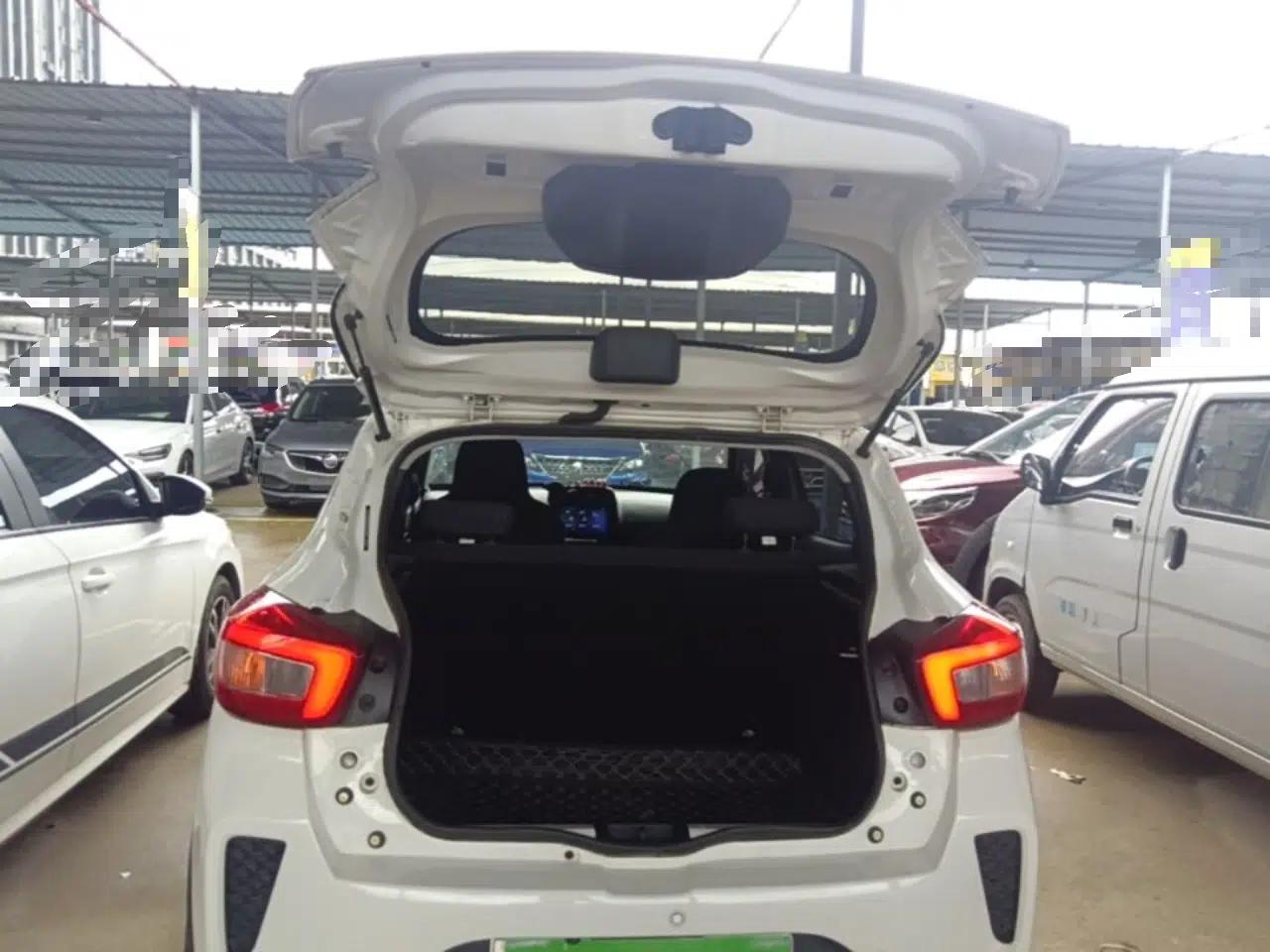 Dongfeng NAMMI EX1 2022 PRO Joyful Edition — миниатюра 27