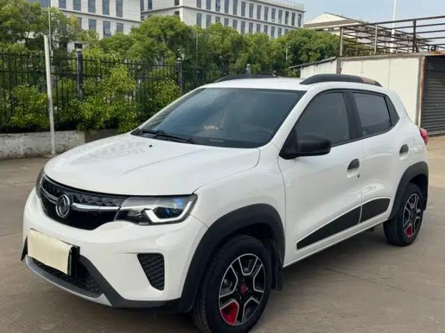 Dongfeng NAMMI EX1 2022 PRO Joyful Edition