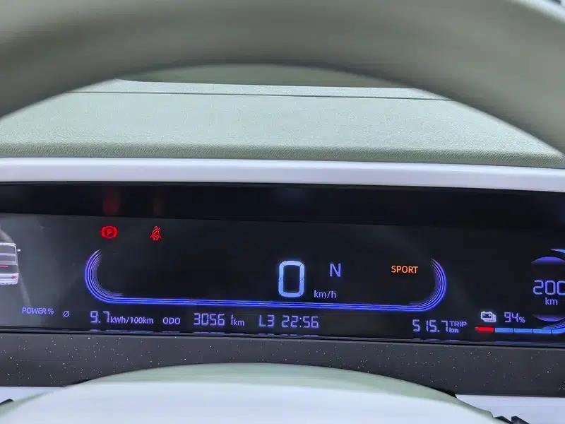 Panda 2025 Model 210km Panda Rider — миниатюра 11