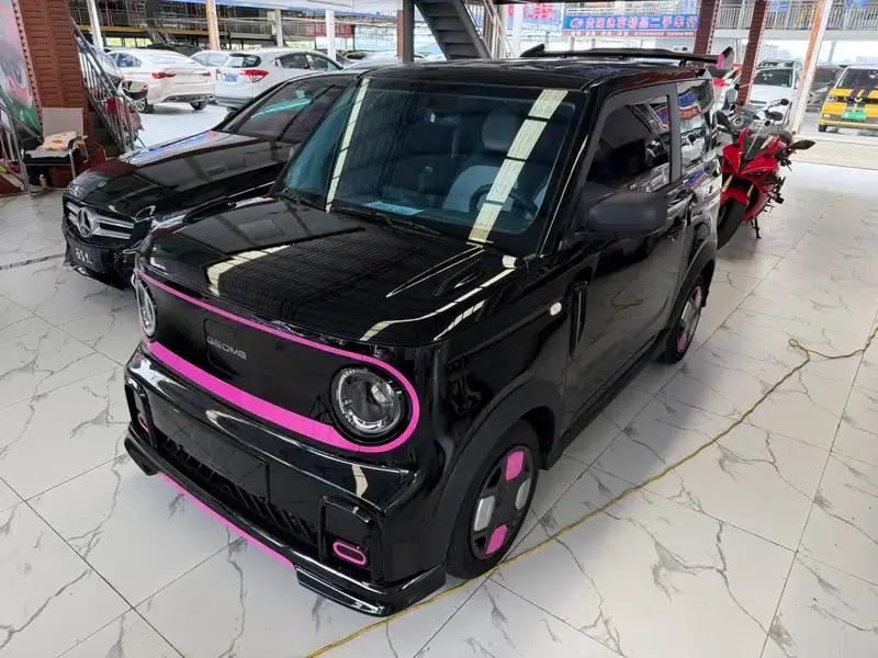 Panda 2024 Model 200km Panda Gokart — миниатюра 1