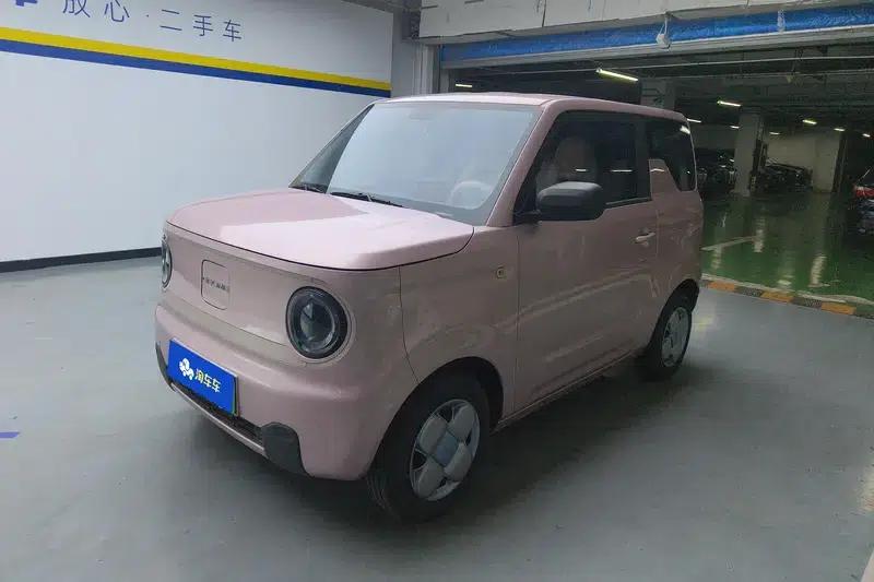 Panda 2023 Model 200km Panda Mini Endurance Bear — миниатюра 1