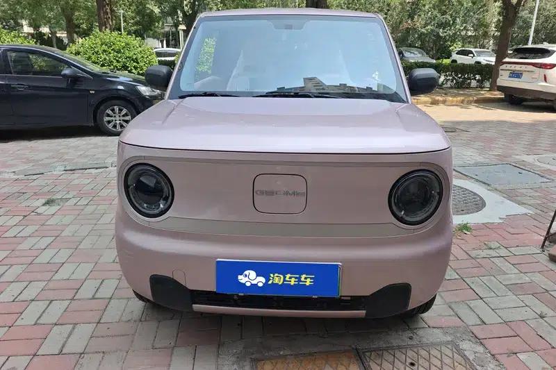 Panda 2023 Model 200km Panda Mini Endurance Bear — миниатюра 2