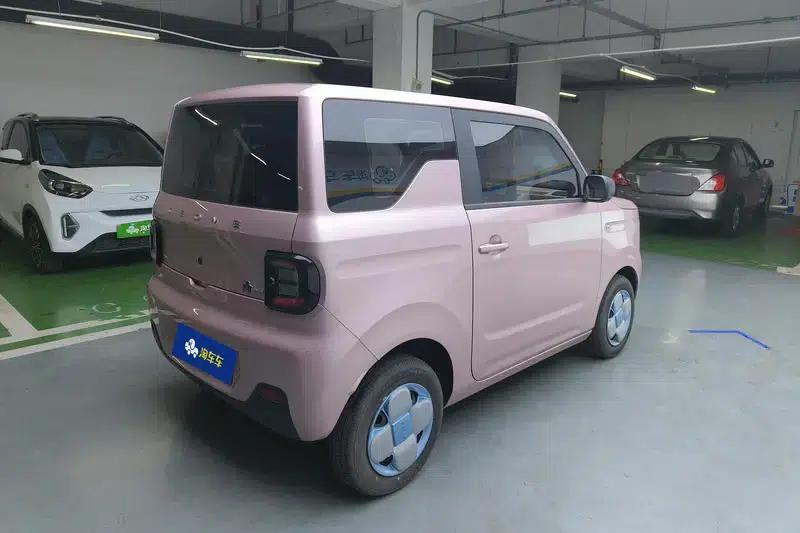 Panda 2023 Model 200km Panda Mini Endurance Bear — миниатюра 3