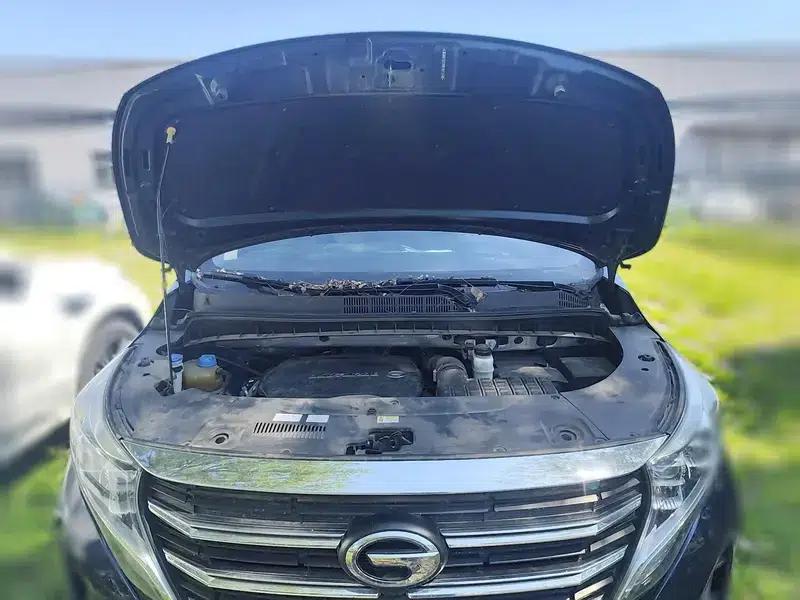 Trumpchi M8 2021 Leading Series 390T Premium Edition — миниатюра 19