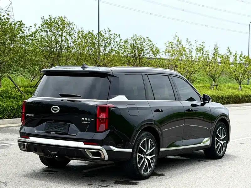 Trumpchi GS8 2022 Dual Engine Series 2.0TM Hybrid 2WD Premium Edition 6-Seater — миниатюра 6