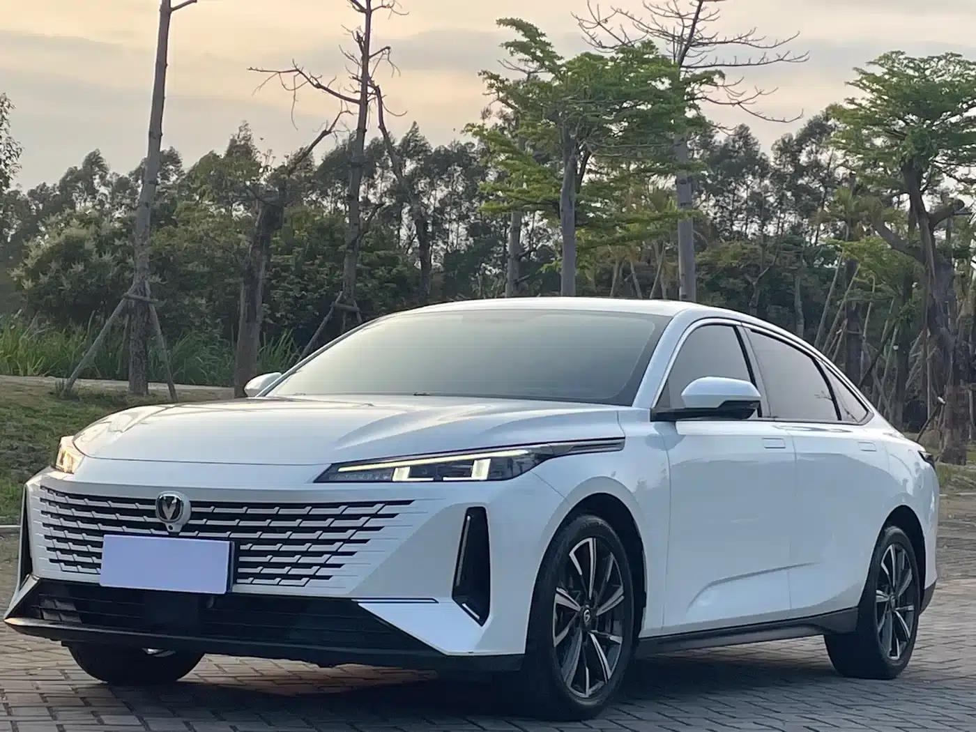 Yida 2023 Blue Whale NE 1.5T GDI DCT Navigator Edition — миниатюра 1