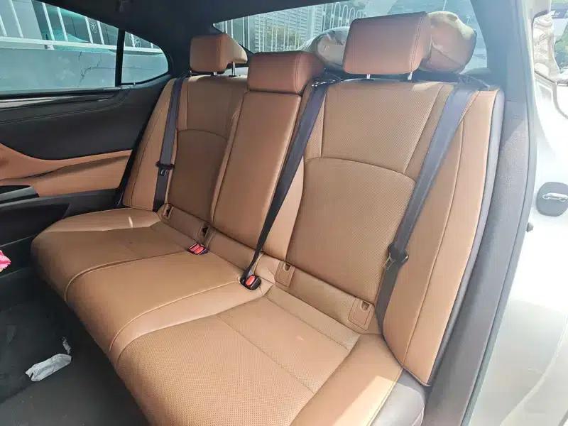 Lexus ES 2020 200 Premium Edition (China VI Emission Standard) — миниатюра 10