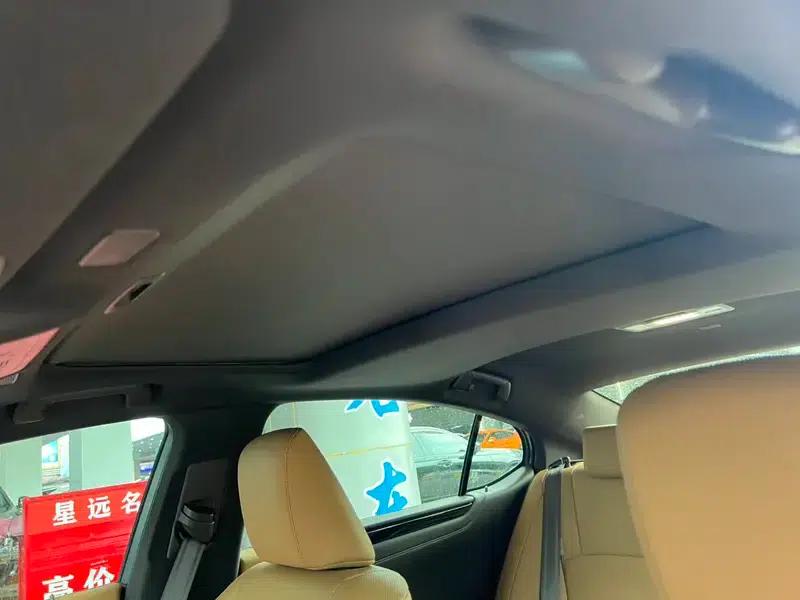 Lexus ES 2020 200 Luxury Edition (China VI Emission Standard) — миниатюра 16