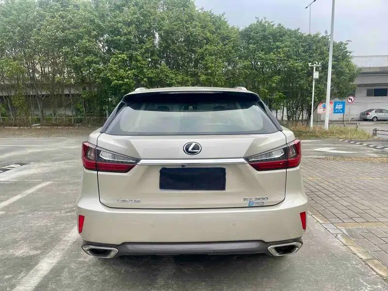 Lexus RX 2016 300 2WD Comfort Edition (China VI Emission Standard) — миниатюра 5