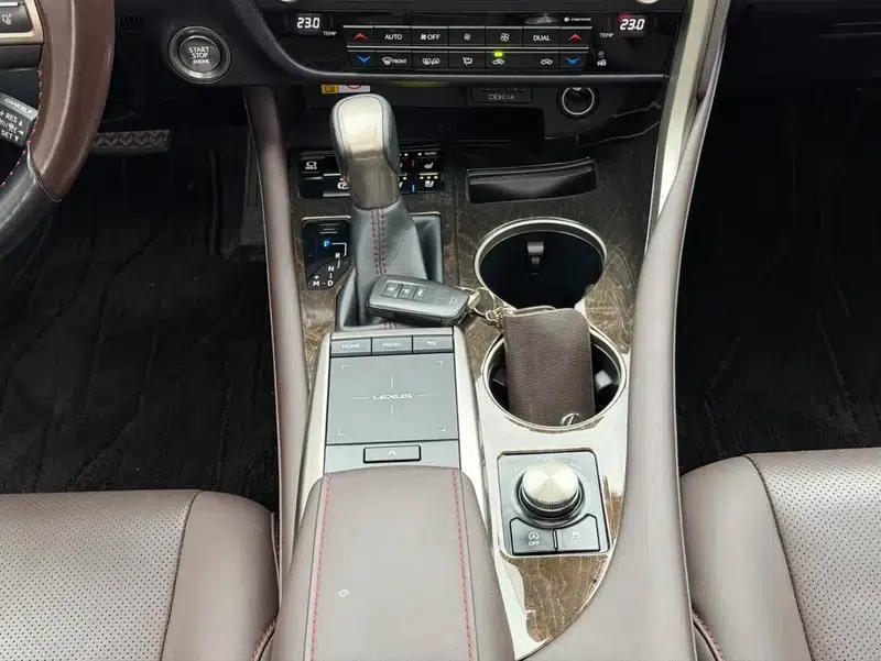 Lexus RX 2020 Facelift 300 AWD Elegant Edition — миниатюра 19
