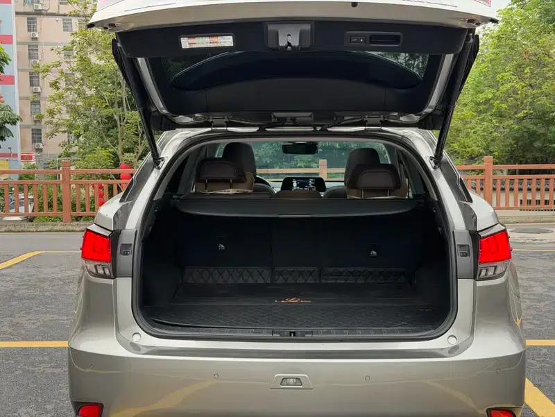 Lexus RX 2020 Facelift 300 AWD Elegant Edition — миниатюра 31
