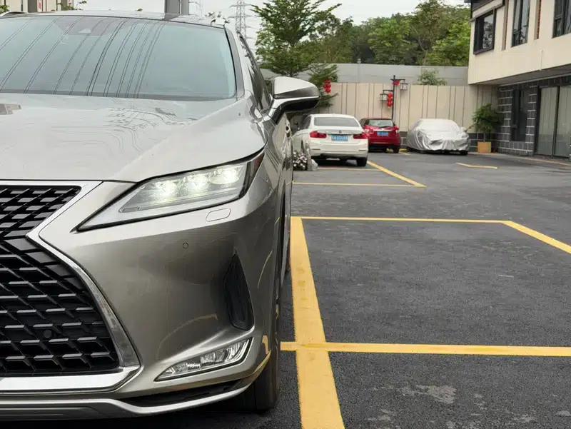 Lexus RX 2020 Facelift 300 AWD Elegant Edition — миниатюра 9
