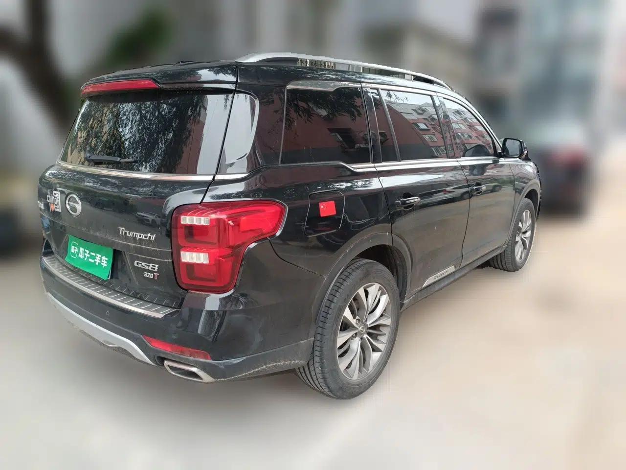 GAC Trumpchi GS8 2017 320T Two-Wheel Drive Luxury Smart Connectivity Version (7 Seats) — миниатюра 6