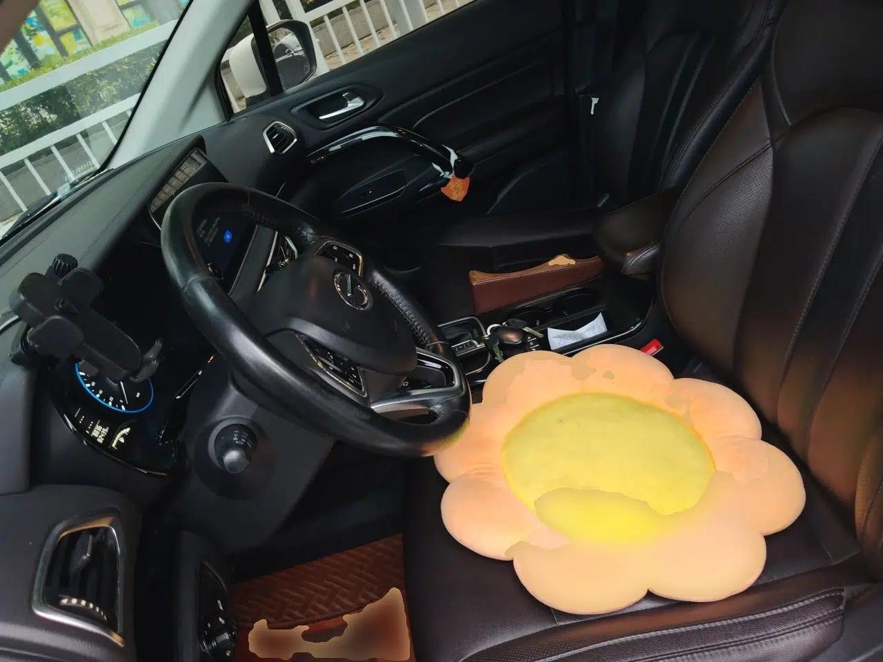 GAC Trumpchi GS4 2018 235T Automatic Two-Wheel Drive Luxury Smart Connectivity Millionth Anniversary Edition — миниатюра 15