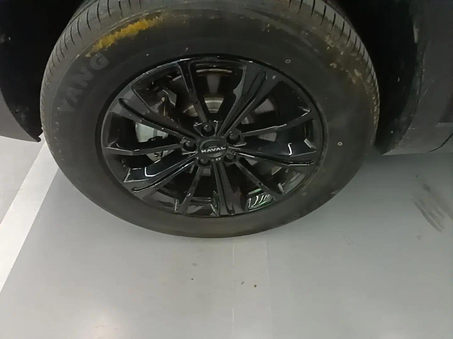 Haval Raptor New Energy 2024 Hi4 102 Pro — миниатюра 10