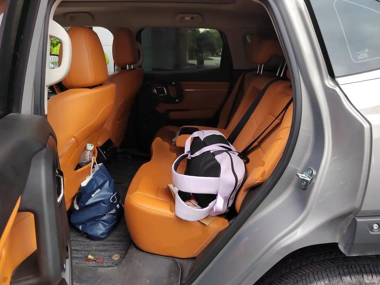 Haval H Dog 2023 2.0T Two-Wheel Drive Chaoye Version Plus — миниатюра 17