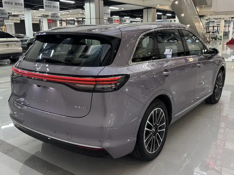2025 Shangjie H5 Extended Range Max — миниатюра 7