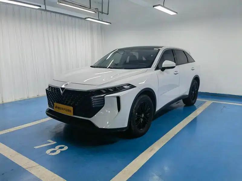 Venucia V2022 260T Idol Edition — миниатюра 1