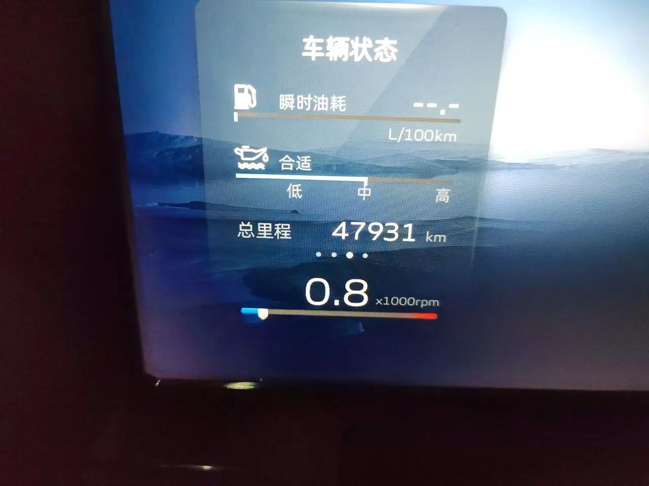 Geely Auto Monjaro L 2023 2.0TD High-Power Automatic Two-Wheel Drive Flagship Version — миниатюра 12