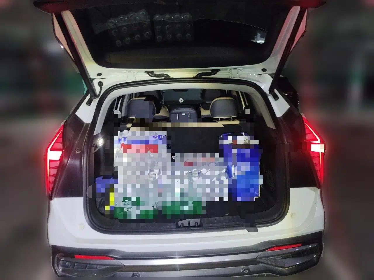 Geely Auto FX11 2023 2.0TD DCT Flagship Version — миниатюра 19
