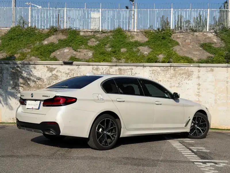 2023 BMW 5 Series 530Li Luxury M Sport Package — миниатюра 5