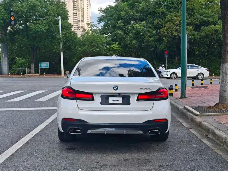 2023 BMW 5 Series 530Li Leading Luxury Package — миниатюра 5