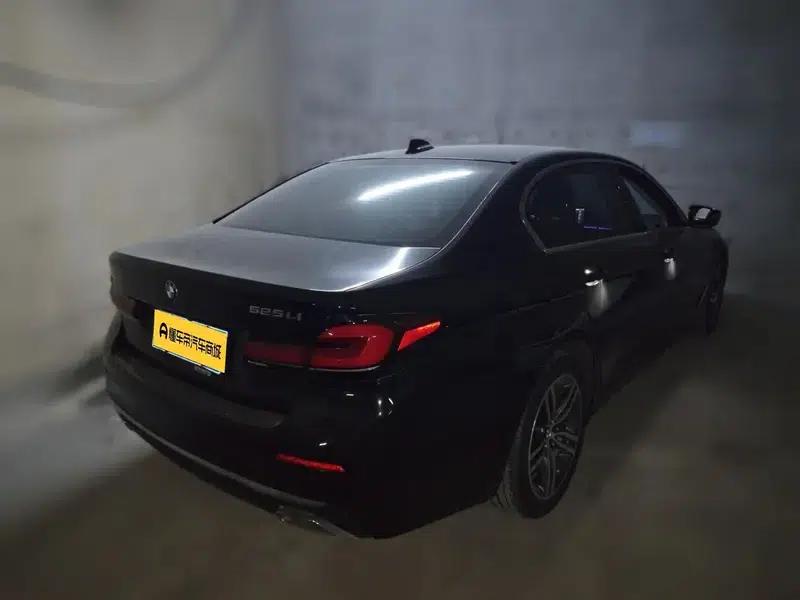 2021 BMW 5 Series 525Li Luxury Package — миниатюра 4