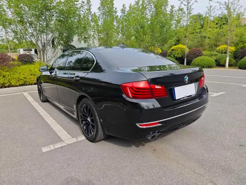 2014 BMW 5 Series 525Li Luxury Design Package — миниатюра 4