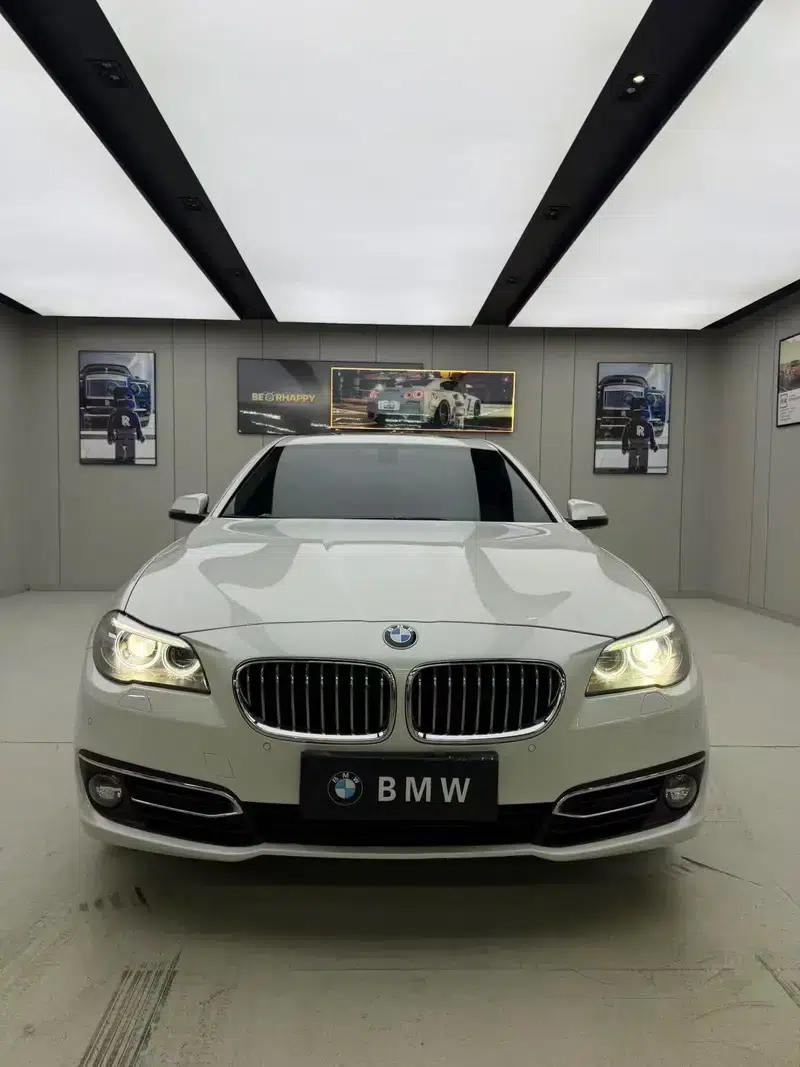 2014 BMW 5 Series 525Li Luxury Design Package — миниатюра 2