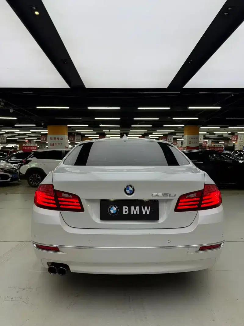 2014 BMW 5 Series 525Li Luxury Design Package — миниатюра 5