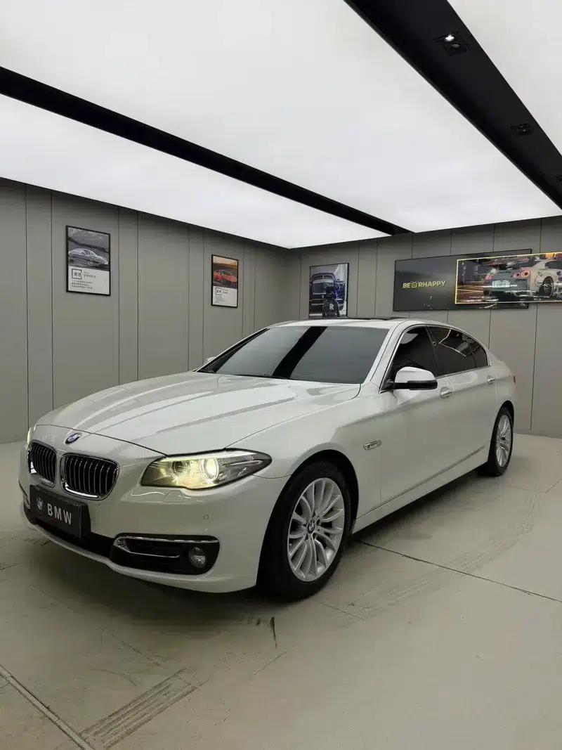 2014 BMW 5 Series 525Li Luxury Design Package — миниатюра 9