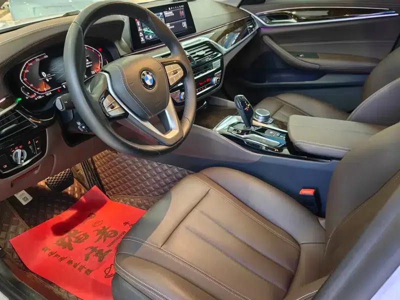 2020 BMW 5 Series 525Li Luxury Package — миниатюра 13