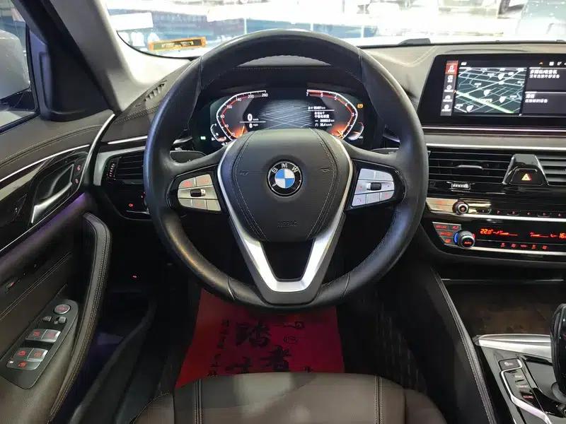 2020 BMW 5 Series 525Li Luxury Package — миниатюра 9