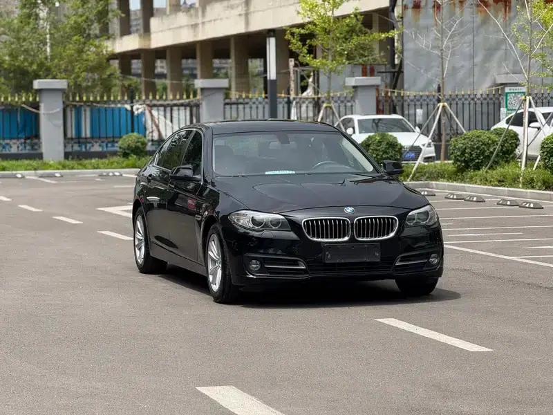 2014 BMW 5 Series 520Li Elegant Edition — миниатюра 3