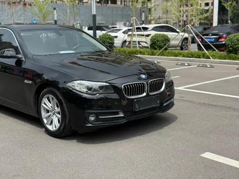 2014 BMW 5 Series 520Li Elegant Edition — миниатюра 8