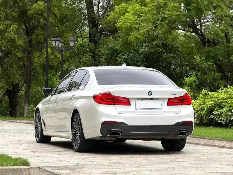 2018 BMW 5 Series 530Li Luxury M Sport Package — миниатюра 4