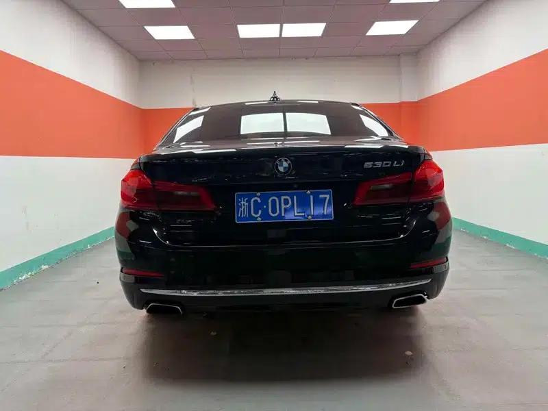 BMW 5 Series 2018 530Li Luxury Package — миниатюра 5
