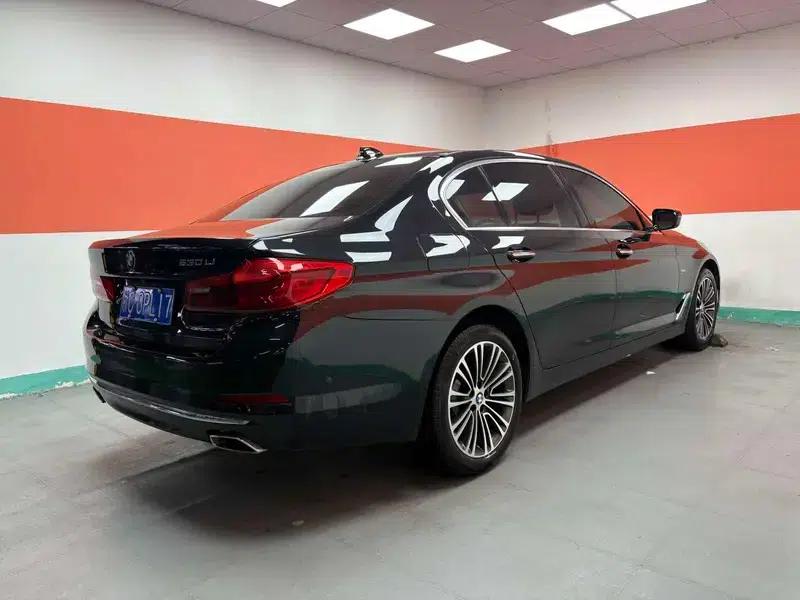 BMW 5 Series 2018 530Li Luxury Package — миниатюра 6