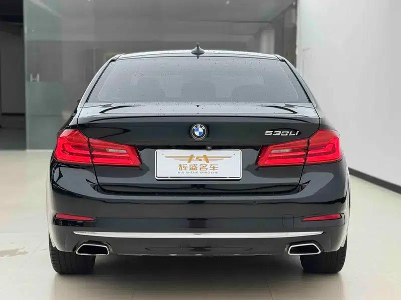 BMW 5 Series 2020 530Li Leading Luxury Package — миниатюра 4
