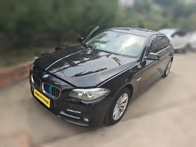 2014 BMW 5 Series 520Li Elegant Edition — миниатюра 1