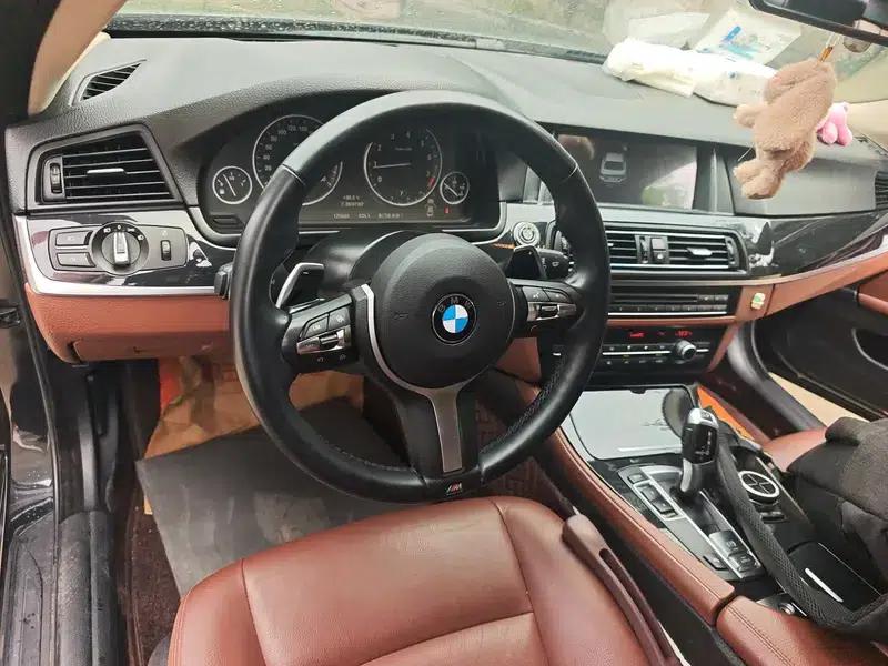 2014 BMW 5 Series 520Li Elegant Edition — миниатюра 11