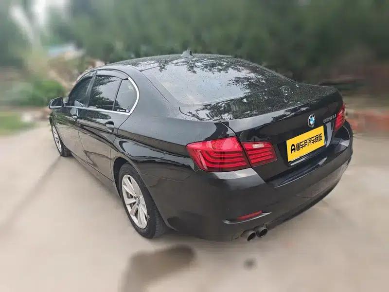 2014 BMW 5 Series 520Li Elegant Edition — миниатюра 6