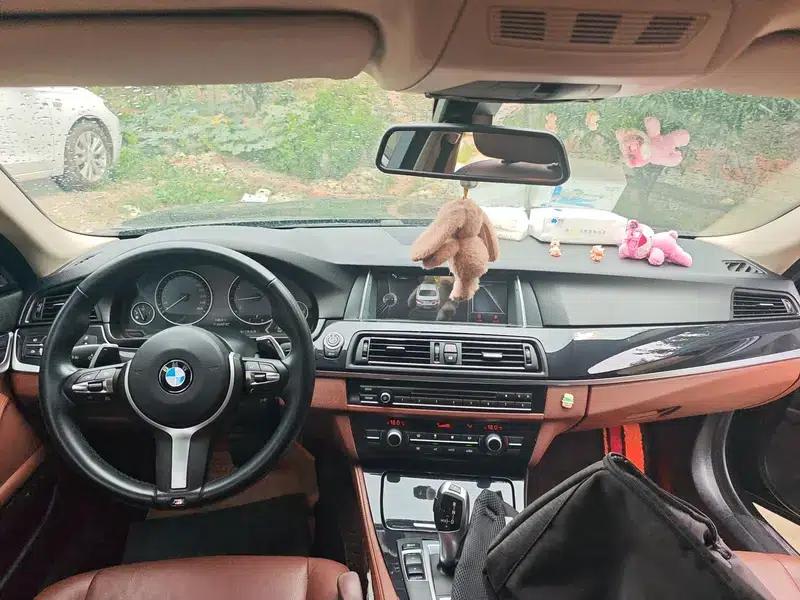 2014 BMW 5 Series 520Li Elegant Edition — миниатюра 10
