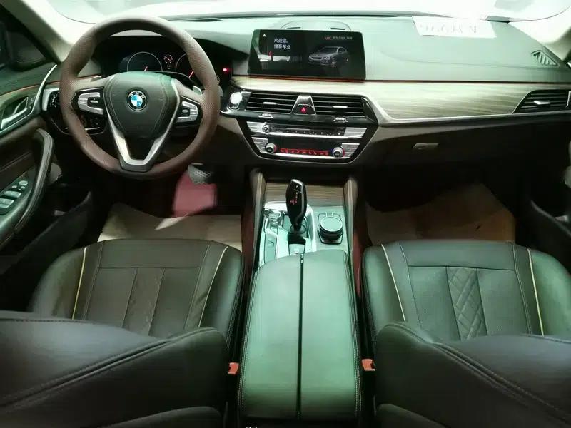 BMW 5 Series 2019 530Li Luxury Package — миниатюра 8