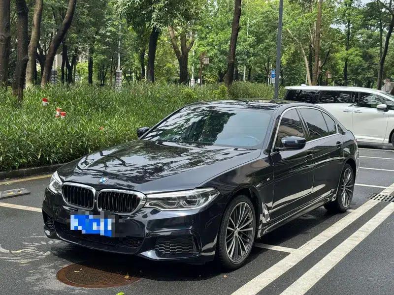 2020 BMW 5 Series 530Li Leading Edition M Sport Package — миниатюра 1