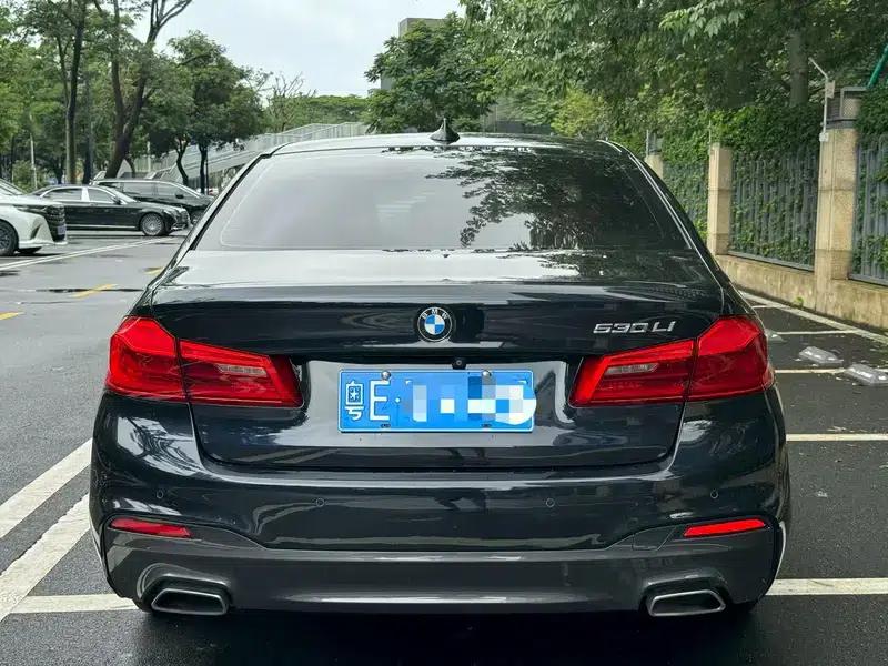 2020 BMW 5 Series 530Li Leading Edition M Sport Package — миниатюра 4