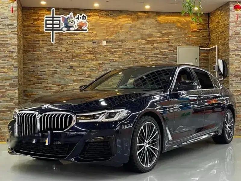 2021 BMW 5 Series Facelift 530Li Leading Edition M Sport Package — миниатюра 1