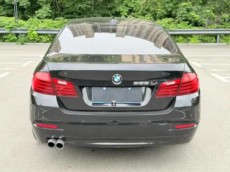 2017 BMW 5 Series 525Li Luxury Design Package — миниатюра 6