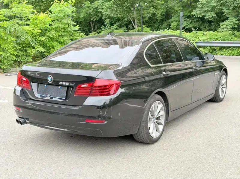 2017 BMW 5 Series 525Li Luxury Design Package — миниатюра 7