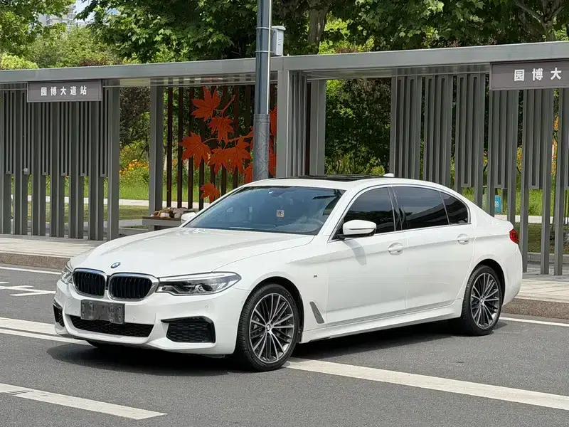 2020 BMW 5 Series 530Li Luxury M Sport Package — миниатюра 1